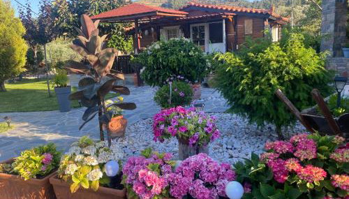 A wooden house in Kardamyla - Foto 2, Garden, Garden view