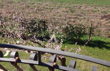 Dreams Valley - Foto 65