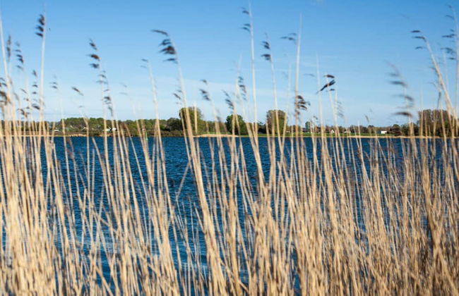 Liefde Voor de Schlei - Photo 13
