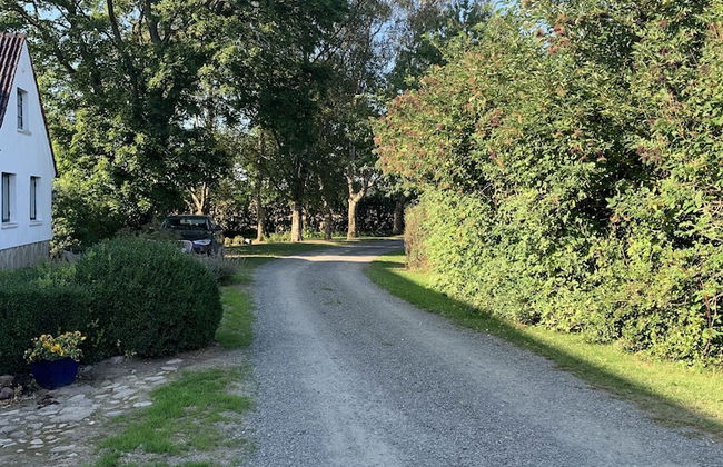 Bäddar & Ängar - Photo 58