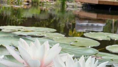 Poggenhagen Urlaub mitten in der Natur - Foto 2