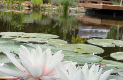 Poggenhagen Urlaub mitten in der Natur - Foto 2