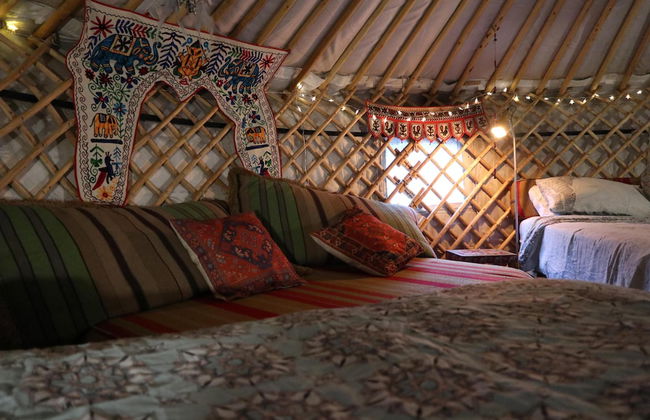 Hapus Yurt - Two Beautiful Yurts and Barn Cottage - Foto 9