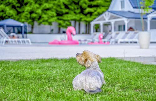 Resort Golf Kołczewo - Foto 19