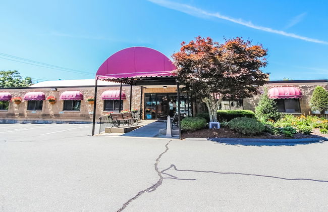 Holly Tree Resort - Foto 23