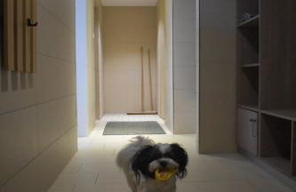 BSW Ferienwohnungen Brockenblick - Foto 62