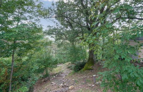 Podere Frassinelli - Foto 18