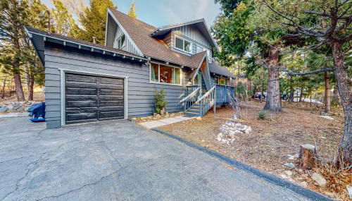 Saint Bernard Beauty - Foto 2