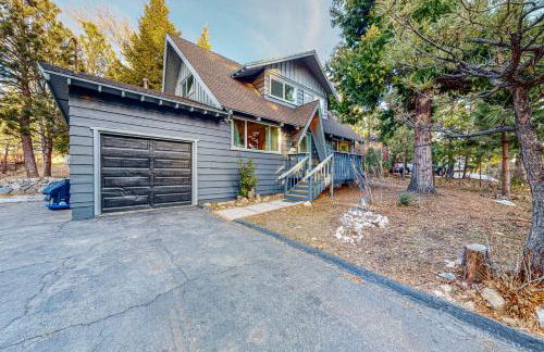 Saint Bernard Beauty - Foto 2