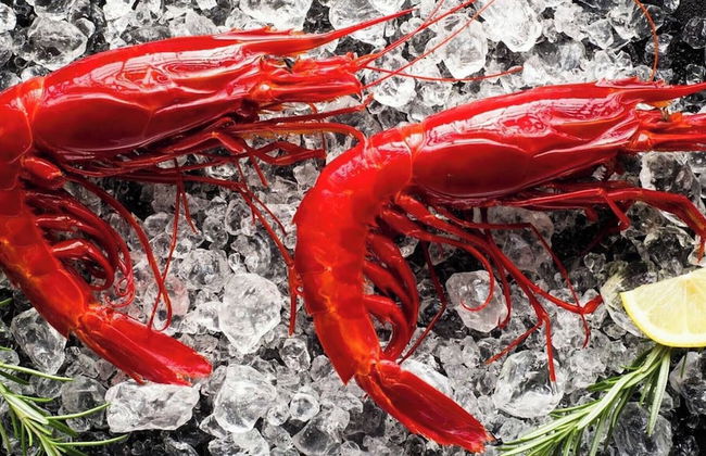 Openspace A Villa Serroni Mazara - Foto 7