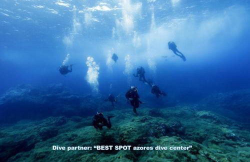 Green & Blue 3 Bedrooms - Photo 50