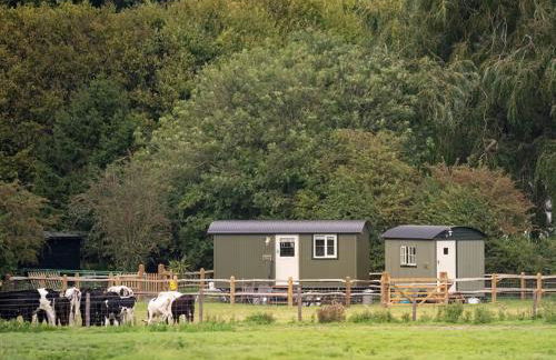 Shepherds Huts Tansy & Ethel in rural Sussex - Foto 1