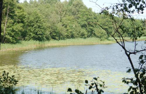 Puszcza Romincka dom z duszą - Foto 10