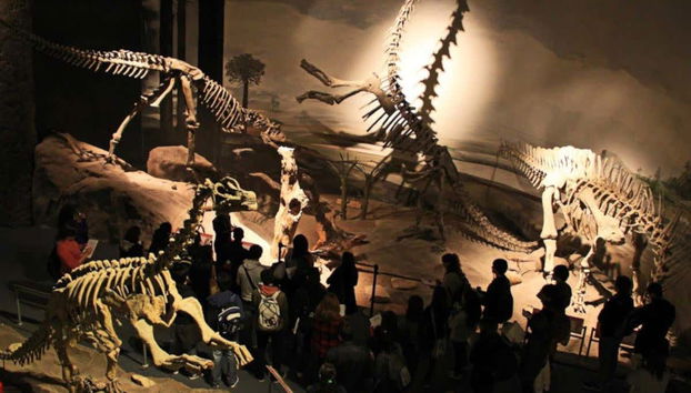 The Paleontological Museum Ticket - Foto 4