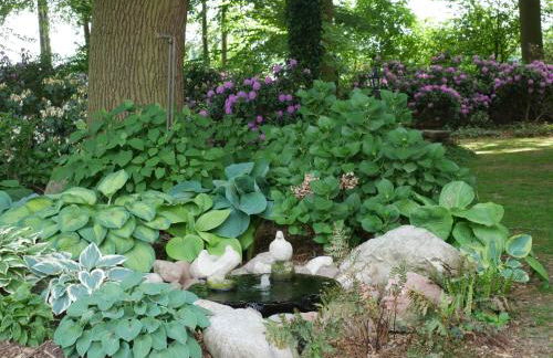 Ferienhof Werner - Foto 25