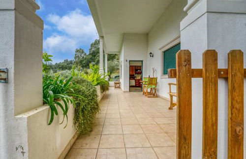 Abrigo do Castelo - Pica-Pau - Foto 12