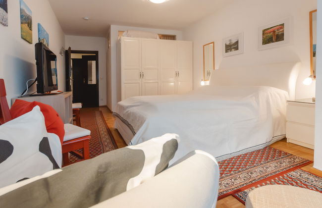 3 bedroom Apartment in Bad Hofgastein with garden - Photo 9