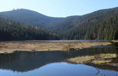 Ferienwohnungen Ludwigsthal - Foto 34