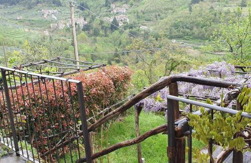 Tuscany, Loro Ciuffenna Mountain Bike&walking - Foto 21