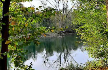 Ferienwohnung "Am Blauwasser" mit Infrarotkabine - Foto 27