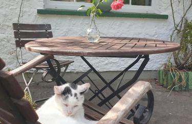 Das grüne Haus allein für Dich! - Foto 30