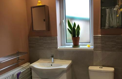 Strawberry Fields - Foto 14