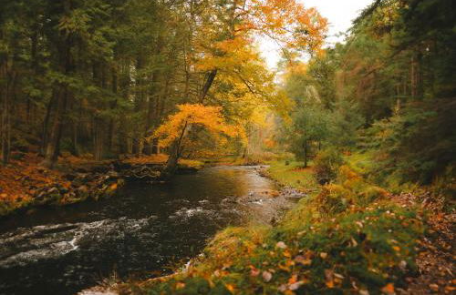 Enchanting River- Water Front A-Frame Cabin - Foto 25