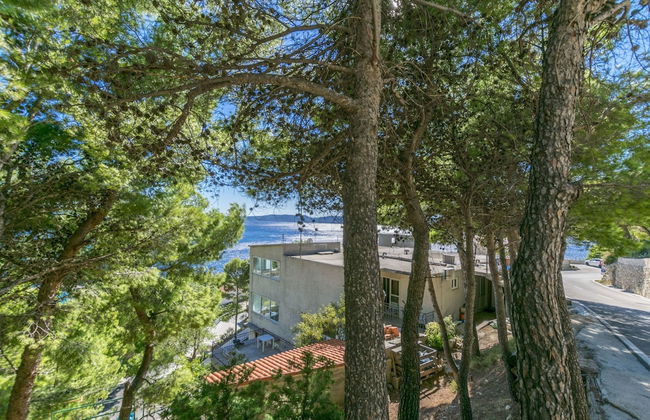 Apartments Lile - Photo 1