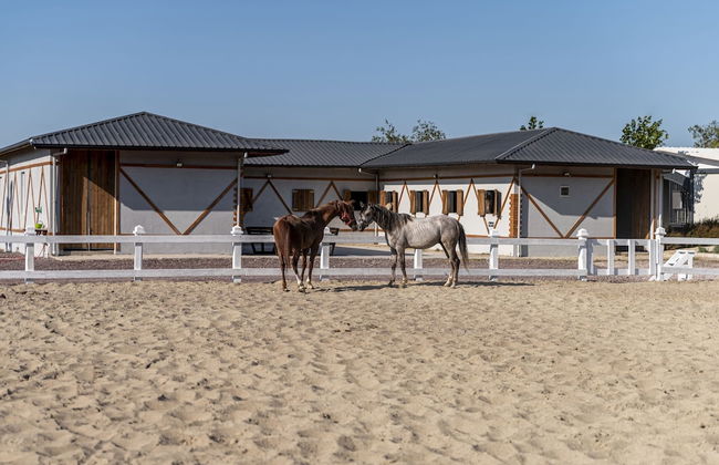 Aronia Bungalow - Photo 56