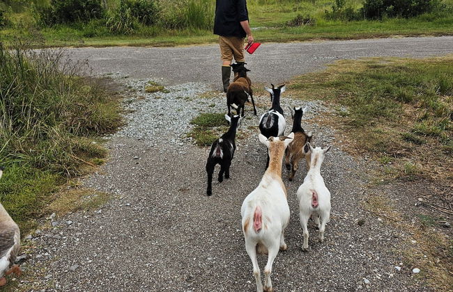 Phoenix Farms Vineyard - Foto 14