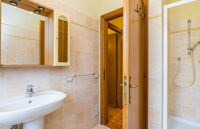 Rosa+Margherita+Lavanda+Ginestra+Gelsomi - Foto 18