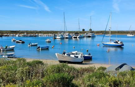 EstrelasDourada ALVOR Limoeiro - Foto 60