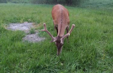 Apartamenty Równia 2 - Foto 75