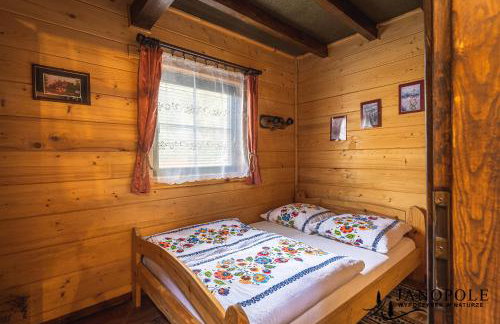 Siedlisko Janopole - Foto 14