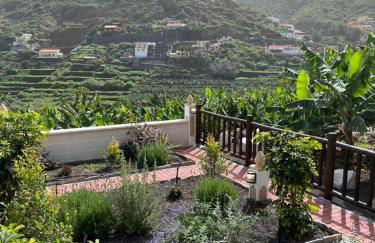 Banana House - Foto 18