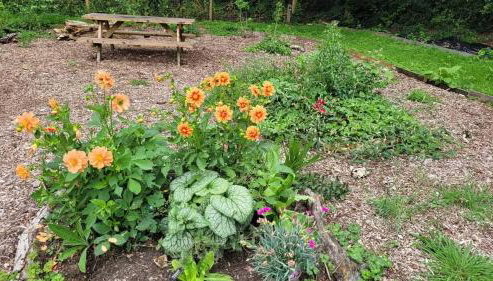 Postwood Gardens Balmoral Country Cabin - Foto 5