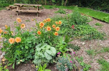 Postwood Gardens Balmoral Country Cabin - Photo 5