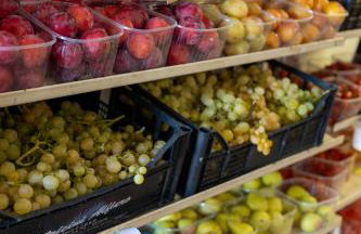 Bio Fattoria Mula D'Oro - biofattoriamuladoro it - Organic Food, Nature & Relax - Foto 39