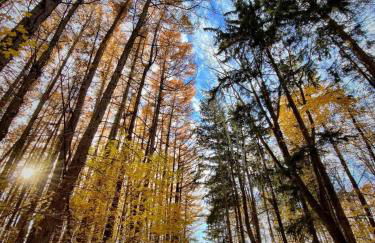 Cozy Cottage Lake Access Fire Pit - Foto 23