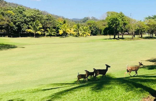 Villa Ocean Dreams Los Delfines Golf & Country Club - Foto 31