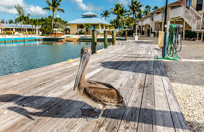 The Reef at Marathon - Foto 35