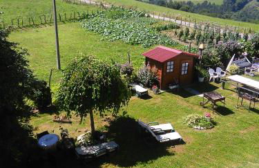 Agroturismo Pagoederraga - Foto 78