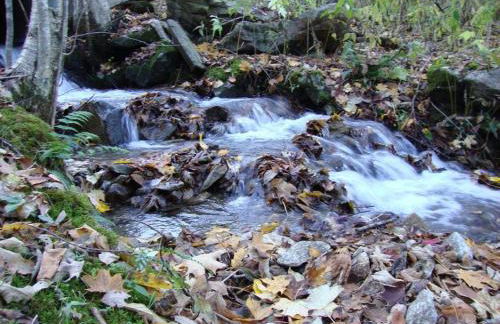 Glens of Antrim Mountain Cabin - Foto 17