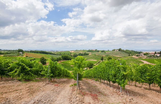 Spacious Tuscany Retreat - Foto 38