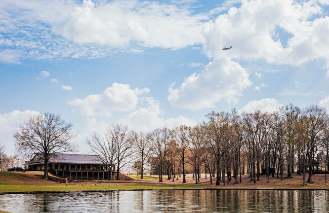 Providence Hill - Foto 19