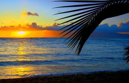 Maui Tranquility II - Photo 36