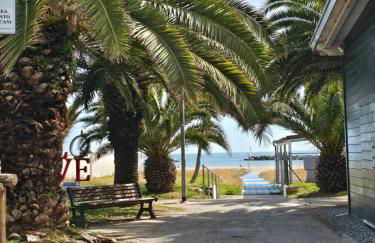 Bassa Marea PDA - Foto 24