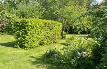 Historisches Pfarrhaus Nähe Schloss Neuschwanstein - Foto 37