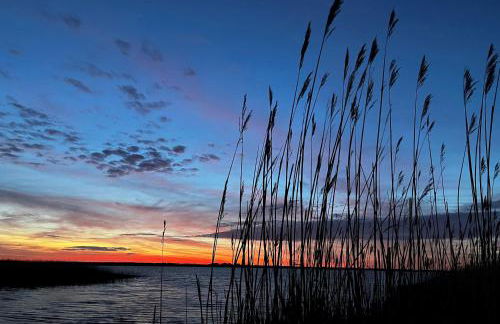5 Sterne Ferienhaus Ostseetraum - 50m zum Strand - Ladestation für E-Auto - Foto 27