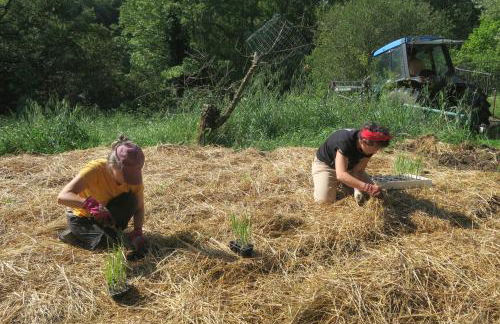 Agriturismo Fattoria Walden - Foto 53